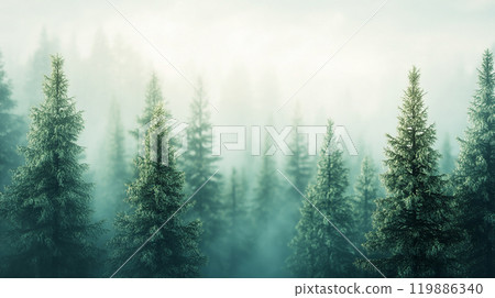 A fantastic coniferous forest shrouded in mist A fantastic coniferous forest shrouded in mist 119886340