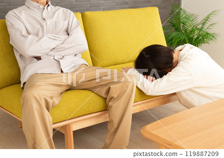 A middle-aged to senior couple arguing in the living room at home 119887209