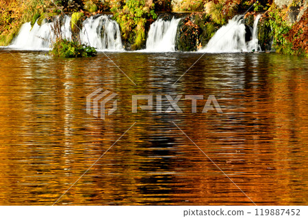 秋葉的反射 秋葉的反射 119887452