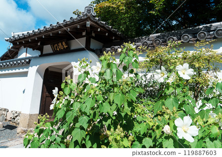 天龍寺七福神、水折大弁財天、十神院龍門夏季 天龍寺七福神、水折大弁財天、十神院龍門夏季 119887603