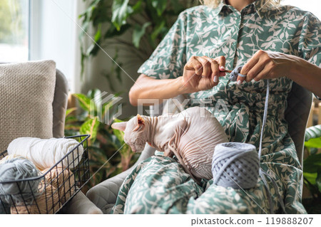 A young beautiful smiling girl crochets from gray yarn and strokes a sphinx cat. 119888207