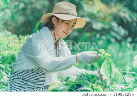 Hosta Leaf and Flower Farm Hosta Leaf and Flower Farm 119888290