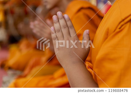In the morning the monks walk for alms with the Buddhists, offering food to the monks with devotion. In the morning the monks walk for alms with the Buddhists, offering food to the monks with devotion. 119888476