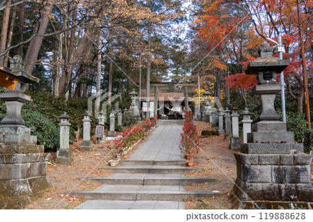 A traditional Japanese approach to a shrine colored by autumn leaves A traditional Japanese approach to a shrine colored by autumn leaves 119888628