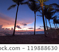 Cool gradient and palm trees on a sunset beach 119888630