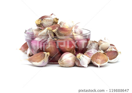 Garlic cloves prepared in potassium permanganate solution; for gardening and planting enthusiasts Garlic cloves prepared in potassium permanganate solution; for gardening and planting enthusiasts 119888647