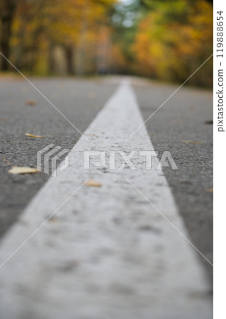 Autumn Road with White Line in Forest Setting Autumn Road with White Line in Forest Setting 119888654