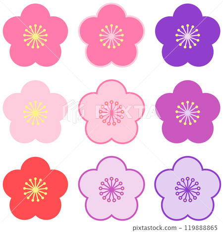 9種梅花 119888865