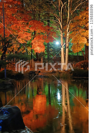 Autumn leaves lighted up 119888896