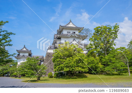 初夏的伊賀上野城（三重縣伊賀市） 119889083