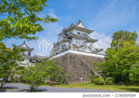 Iga Ueno Castle in early summer (Iga City, Mie Prefecture) 119889084