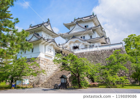 Iga Ueno Castle in early summer (Iga City, Mie Prefecture) 119889086