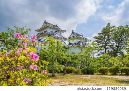 Iga Ueno Castle in early summer (Iga City, Mie Prefecture) 119889089