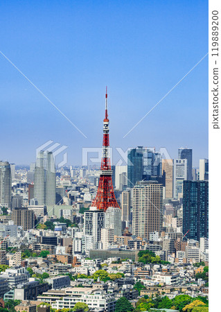 View of the city center: Beautiful scenery of Tokyo Tower and skyscrapers (vertical) 119889200