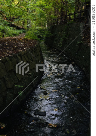 Beautiful green stream 119889203