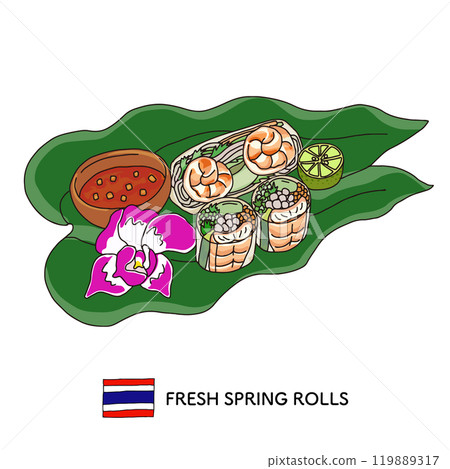 泰國菜_新鮮春捲手繪插畫 119889317