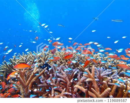 Ryugu castle 119889387