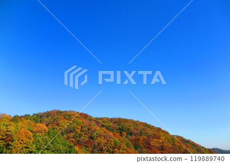 紅葉染成的山脊風景2 119889740