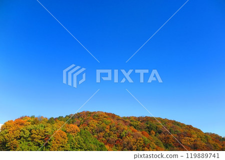 Scenery of the ridge dyed in autumn leaves 1 119889741