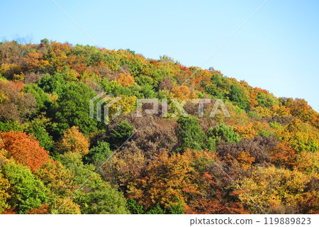Scenery of the ridge dyed in autumn leaves 19 119889823