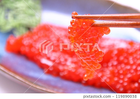 醬油筋子，木葉盤 119890038