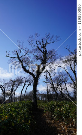 上之子池/里摩週路線 119890090