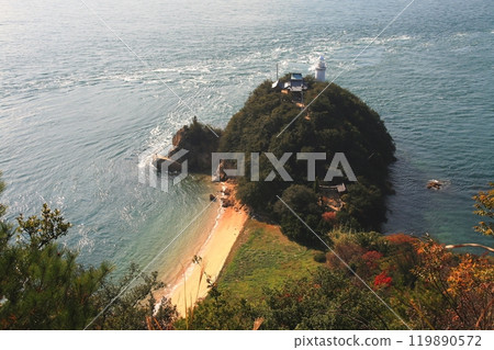 Uzunohana of Umashima Island in the Kurushima Strait Uzunohana of Umashima Island in the Kurushima Strait 119890572