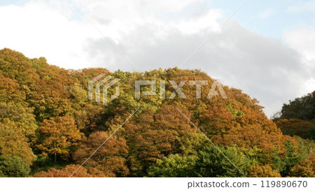 A mountain that turned red leaves 119890670