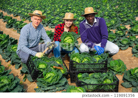 Smiling professional farmers men and woman posing on a plantation 119891356