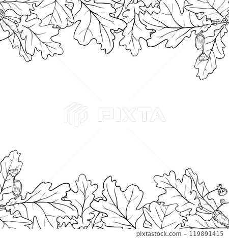 Oak leaf frame. Hand drawn oak leaf composition, vector illustration on white background Oak leaf frame. Hand drawn oak leaf composition, vector illustration on white background 119891415