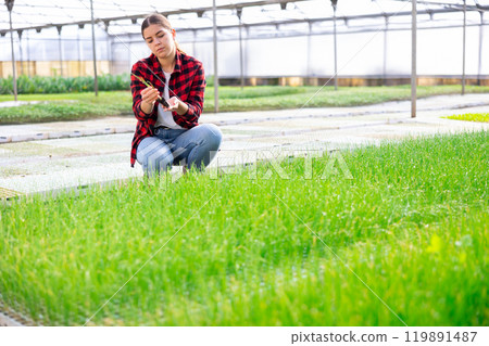 Woman holding green onion seedling in hands 119891487