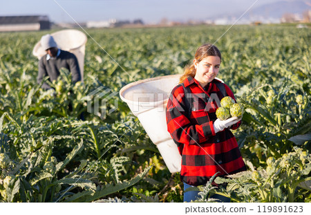 Portrait young woman gardener on artichoke plantation 119891623