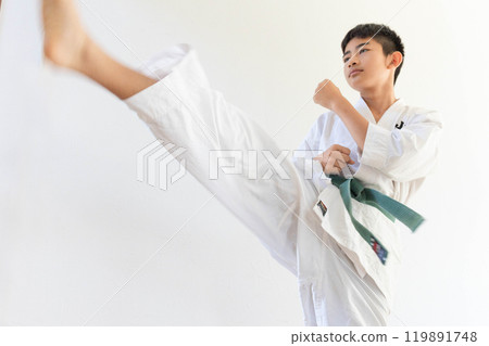 Karate Kicking Boy 2 119891748