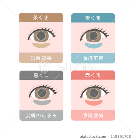 眼熊類型插圖集 眼熊類型插圖集 119891768