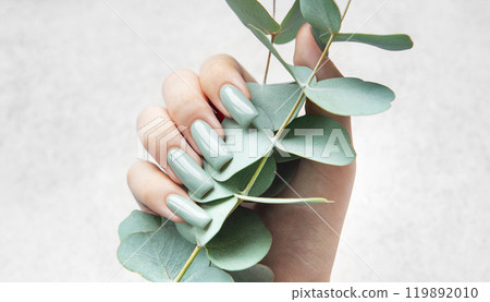 Elegant hands showcasing gray-green nails while holding fresh eucalyptus stems  119892010