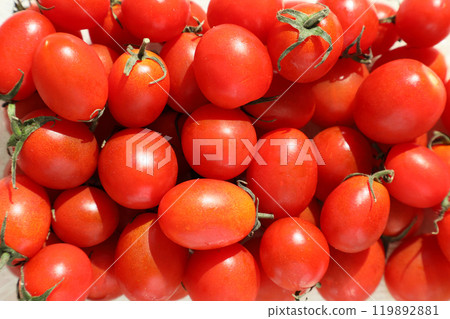 mini tomato mini tomato up 119892881