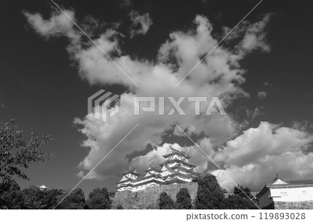 The castle tower floating in the rising clouds The castle tower floating in the rising clouds 119893028