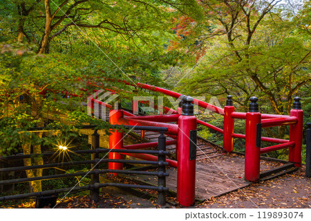 [群馬縣] 伊香保溫泉和川香橋在秋葉開始時點亮 119893074