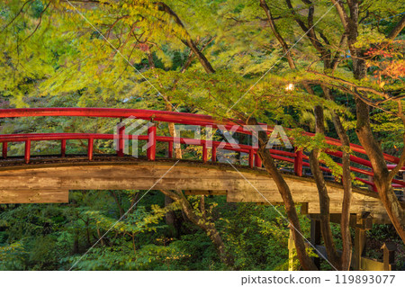 [Gunma Prefecture] Ikaho Onsen and Kajika Bridge illuminated as autumn leaves begin to fall 119893077