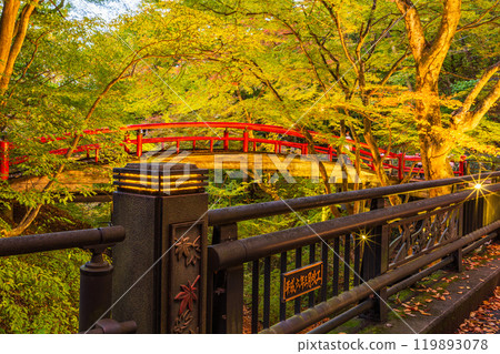 [Gunma Prefecture] Ikaho Onsen and Kajika Bridge illuminated as autumn leaves begin to fall 119893078