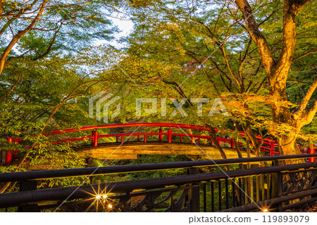 [群馬縣] 伊香保溫泉和川香橋在秋葉開始時點亮 119893079