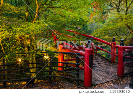 [群馬縣] 伊香保溫泉和川香橋在秋葉開始時點亮 119893080