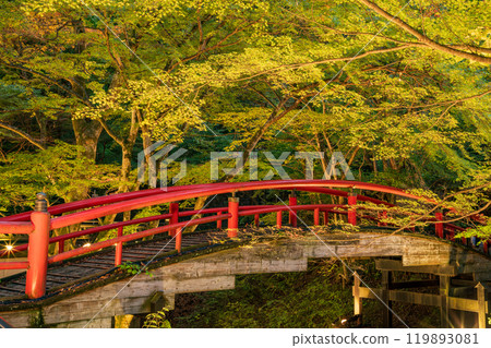 [群馬縣] 伊香保溫泉和川香橋在秋葉開始時點亮 119893081
