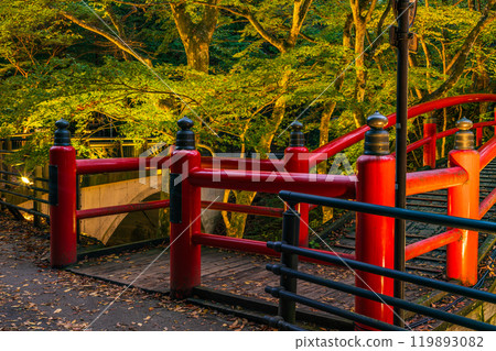 [Gunma Prefecture] Ikaho Onsen and Kajika Bridge illuminated as autumn leaves begin to fall 119893082