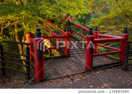 [群馬縣] 伊香保溫泉和川香橋在秋葉開始時點亮 119893084