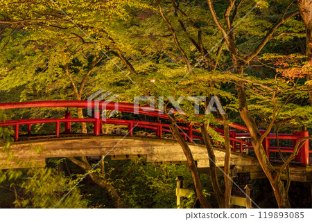 [Gunma Prefecture] Ikaho Onsen and Kajika Bridge illuminated as autumn leaves begin to fall 119893085