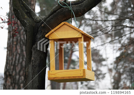 Bird feeder on a tree in the forest 119894165