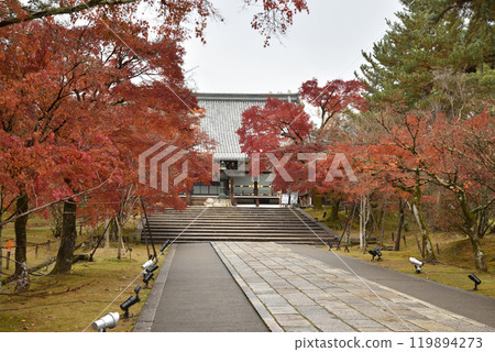 Ninnaji Temple, the main temple, the approach to the main hall, autumn Ninnaji Temple, the main temple, the approach to the main hall, autumn 119894273