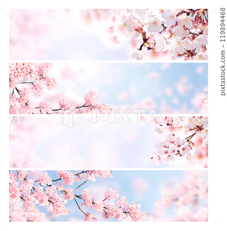 Set of horizontal banner with sakura flowers of white and pink colors. Collection of beautiful nature spring background with a branch of blooming sakura. Hanami time in Japan 119894468