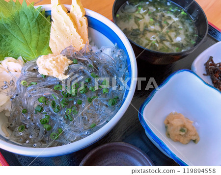 Local dish: Raw whitebait rice bowl Local dish: Raw whitebait rice bowl 119894558